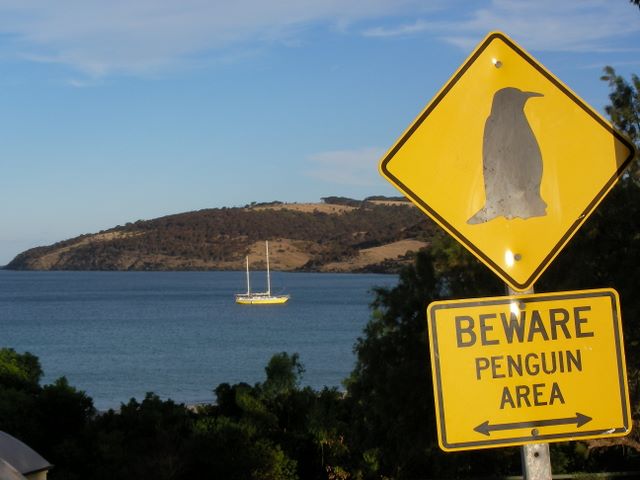 Download this Giorno Giugno Kangaroo Island Cape Jervis Adelaide picture